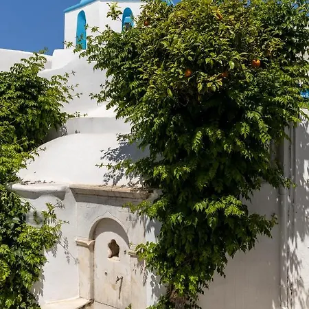 Dina Parikia (Paros)