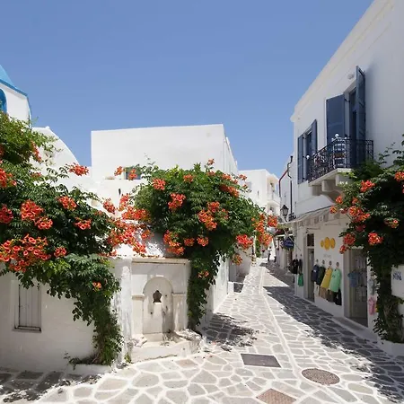 Hotel Dina