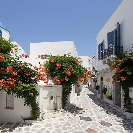 Hotel Dina
