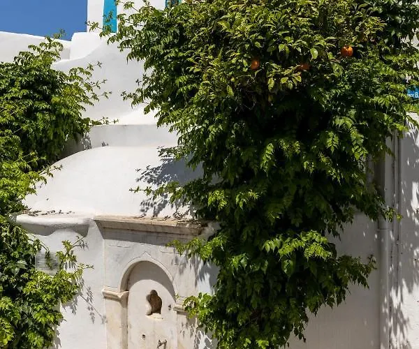 ντίνα Πάρος